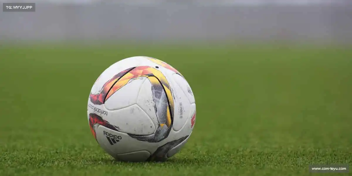 乐鱼官网——🥌冰壶推移,谋定乾坤!